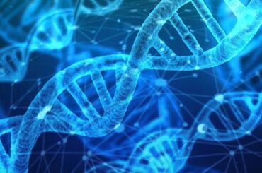 Biologia- higienistka stomatologiczna - grafika DNA