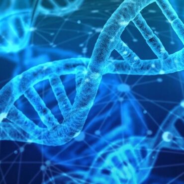 Biologia w zawodzie higienistki stomatologicznej – dlaczego jest tak ważna?